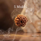 5 Mukhi Rudraksha