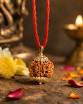5 Mukhi Rudraksha