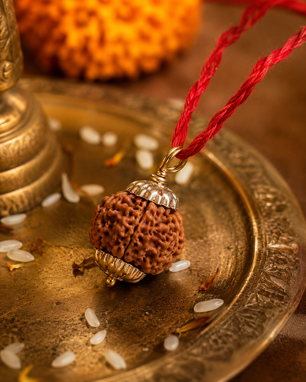 5 Mukhi Rudraksha