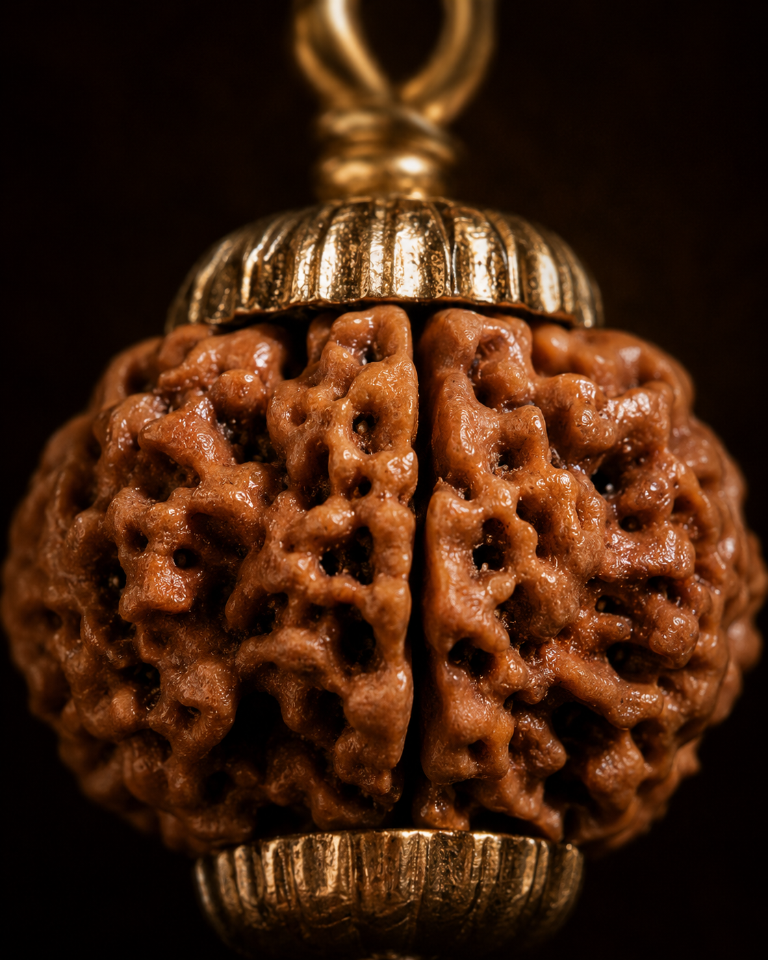 5 Mukhi Rudraksha
