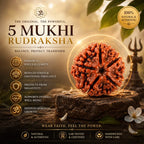 5 Mukhi Rudraksha